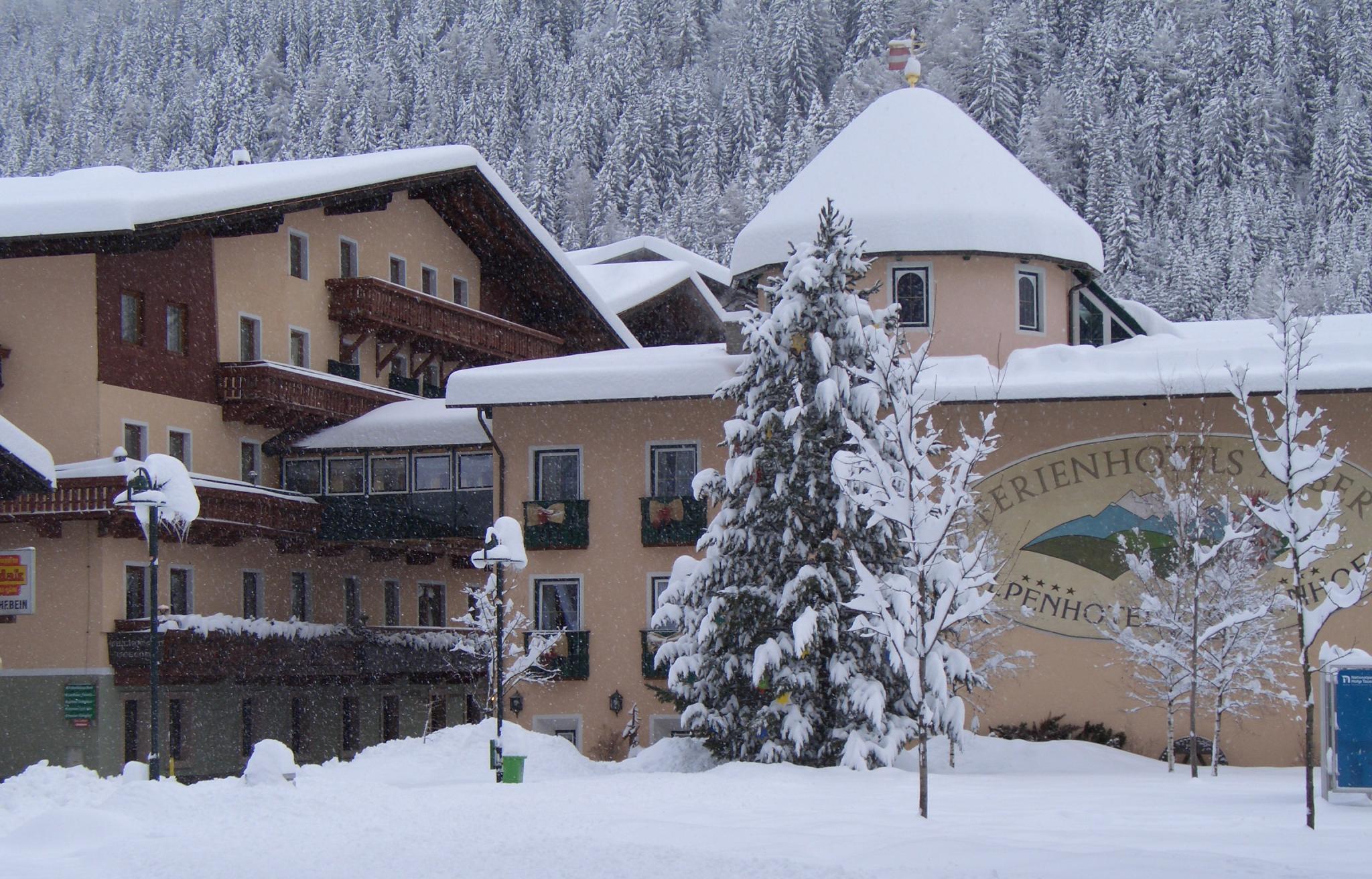 Ferienhotel Alber Alpenhotel